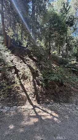 0.08 Acres of Land for Sale in Cedarpines Park, California