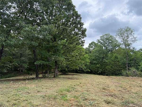 91.4 Acres of Recreational & Residential Land for Sale in Marble Falls Township, Arkansas