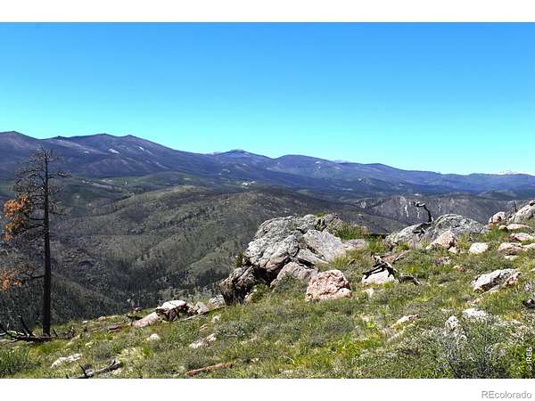 20 Acres of Recreational & Residential Land for Sale in Bellvue, Colorado