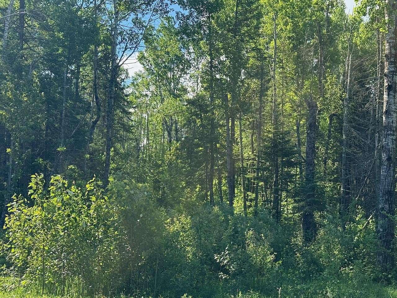 20 Acres of Land for Sale in Holyoke, Minnesota