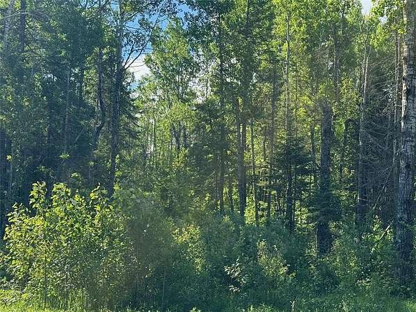 20 Acres of Land for Sale in Holyoke, Minnesota