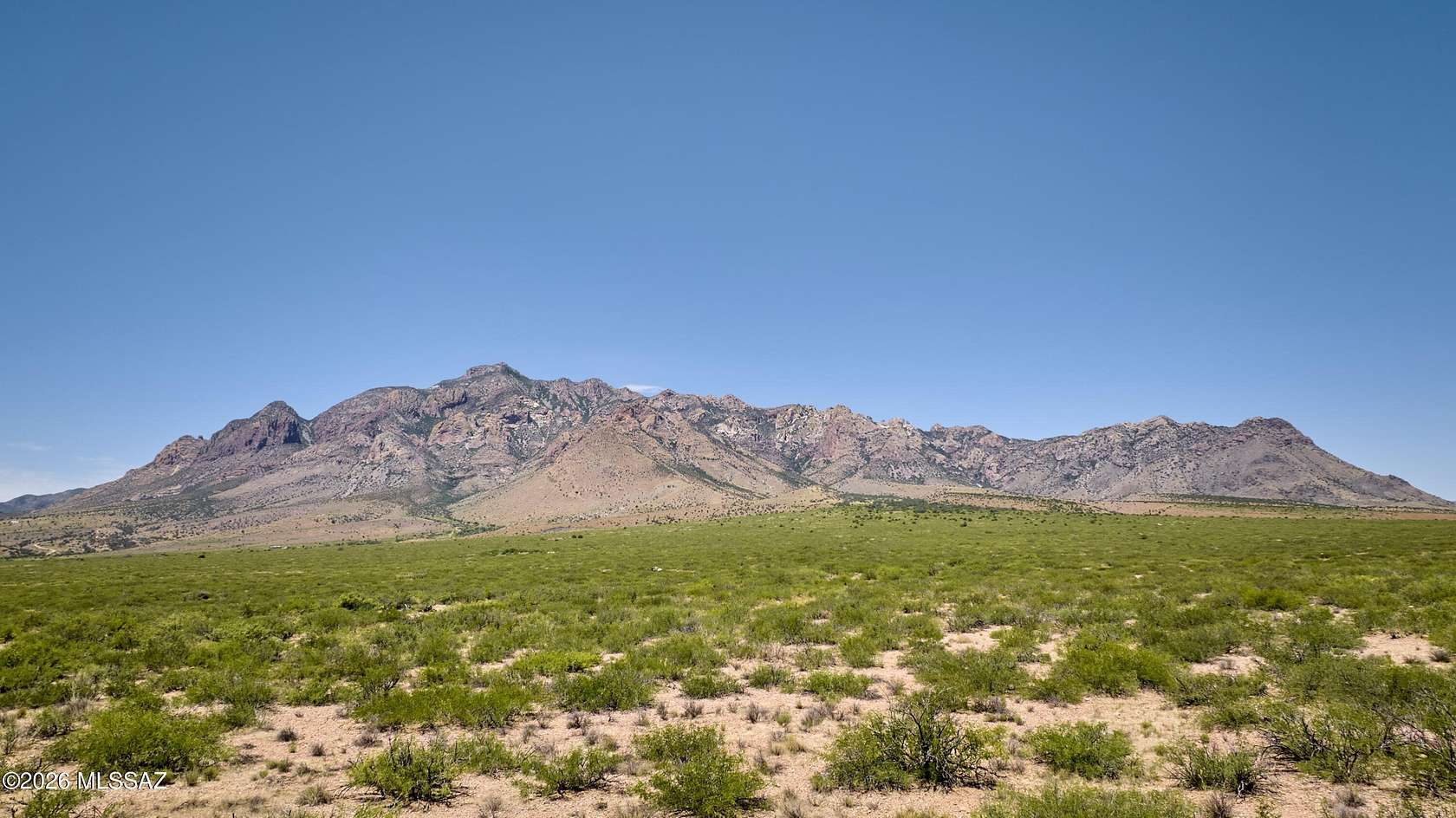 40 Acres of Land for Sale in Portal, Arizona