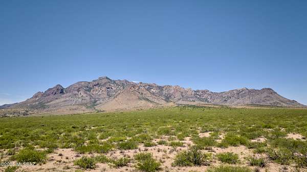 40 Acres of Land for Sale in Portal, Arizona