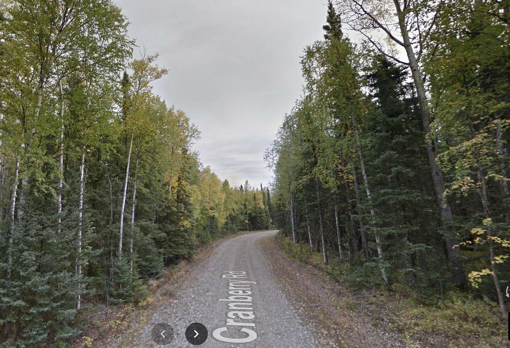 2.7 Acres of Land for Sale in Delta Junction, Alaska