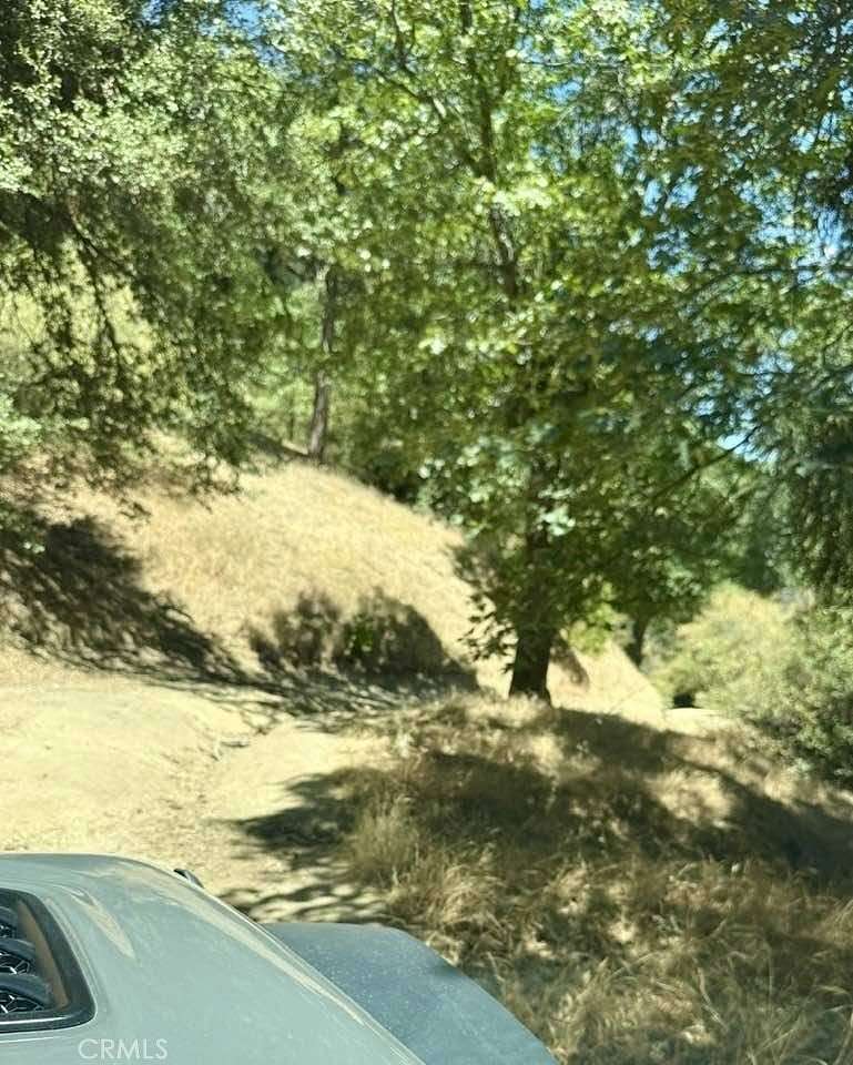 0.03 Acres of Land for Sale in Cedarpines Park, California
