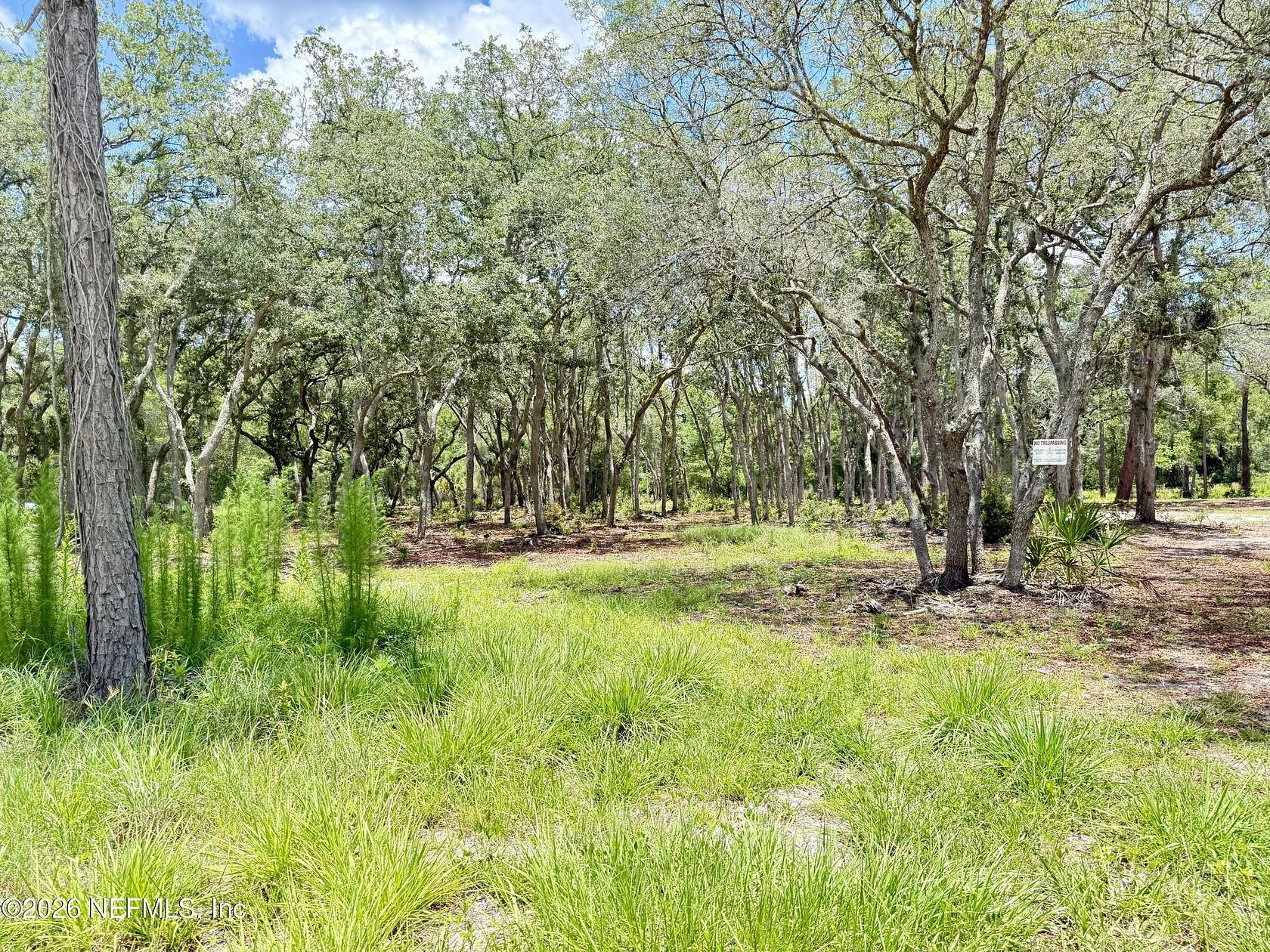1.19 Acres of Residential Land for Sale in Satsuma, Florida