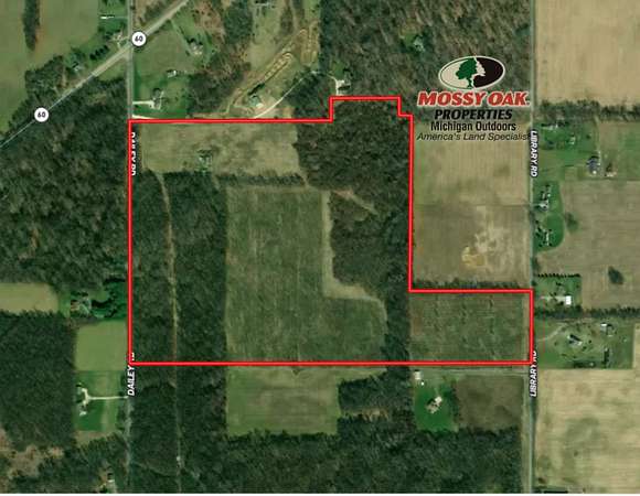80 Acres of Recreational & Residential Land for Sale in Cassopolis, Michigan