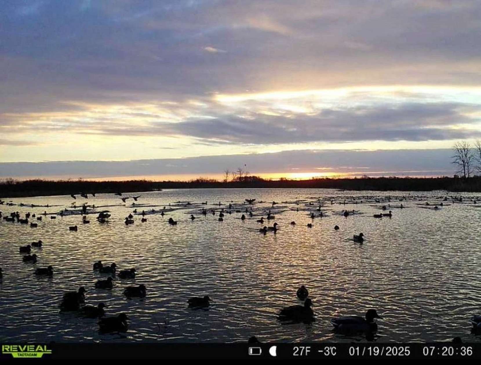 83.2 Acres of Land for Sale in New Madrid, Missouri