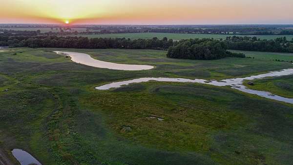 83.2 Acres of Land for Sale in New Madrid, Missouri