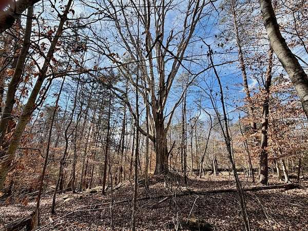 8.15 Acres of Recreational Land for Sale in Howardsville, Virginia