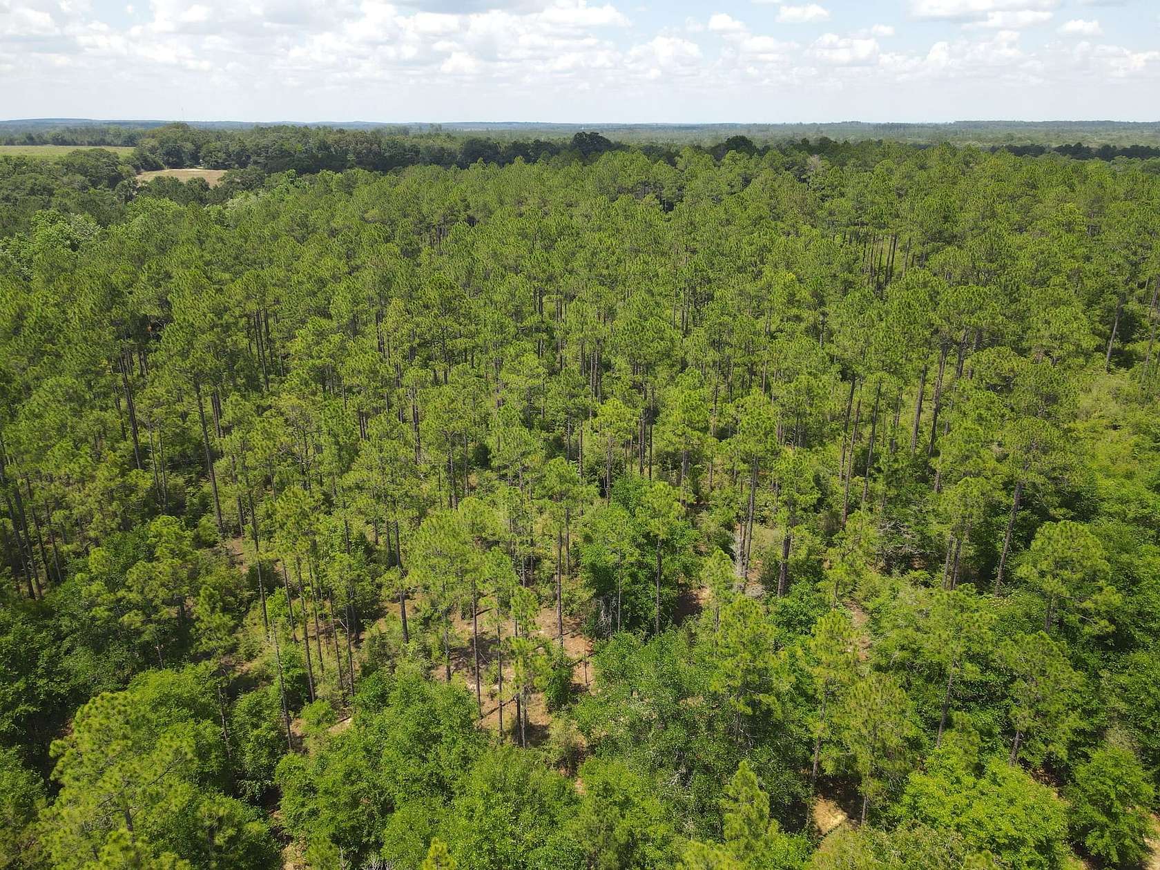 231 Acres of Land for Sale in DeFuniak Springs, Florida