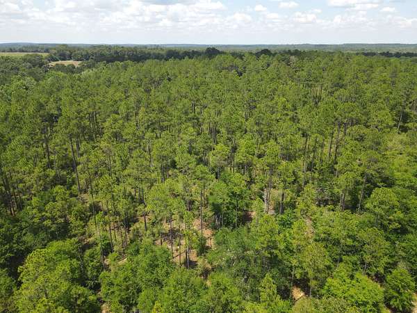 231 Acres of Land for Sale in DeFuniak Springs, Florida