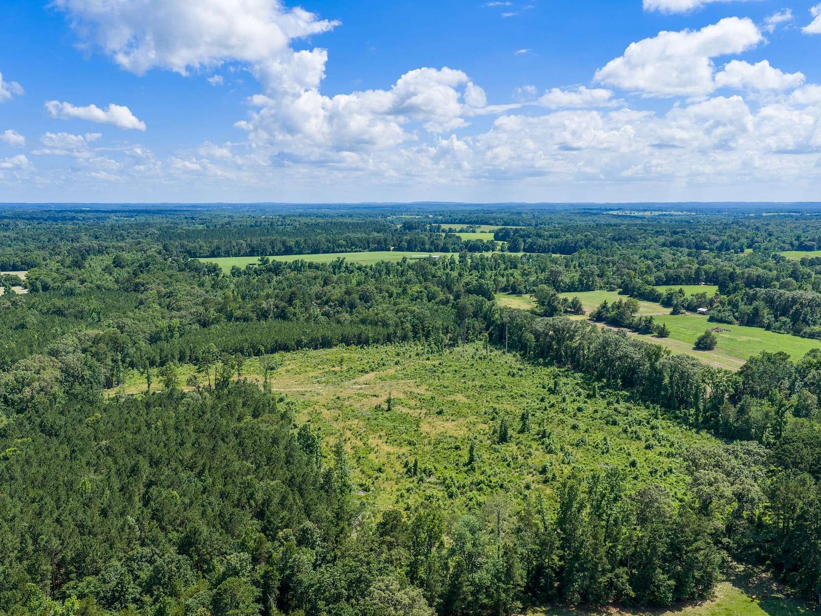 18 Acres of Recreational Land for Sale in Pittsburg, Texas