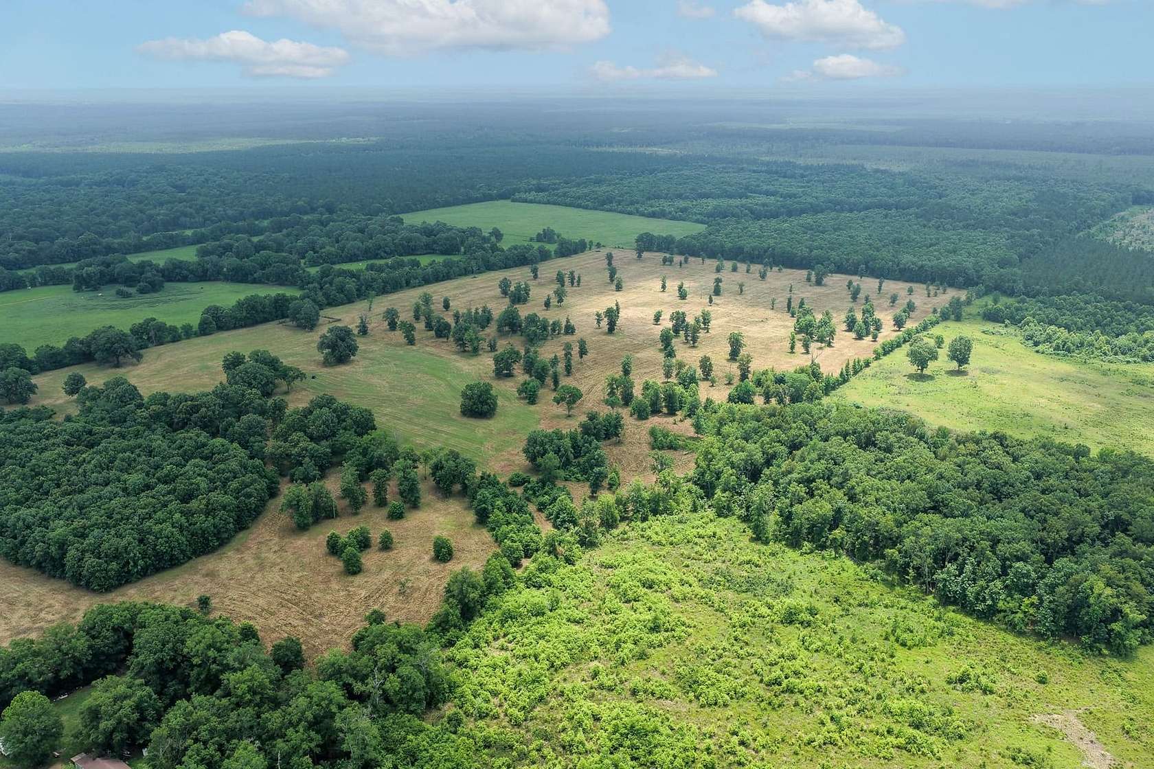 160 Acres of Recreational Land for Sale in Haworth, Oklahoma