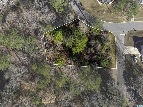 0.47 Acres of Land for Sale in Birmingham, Alabama