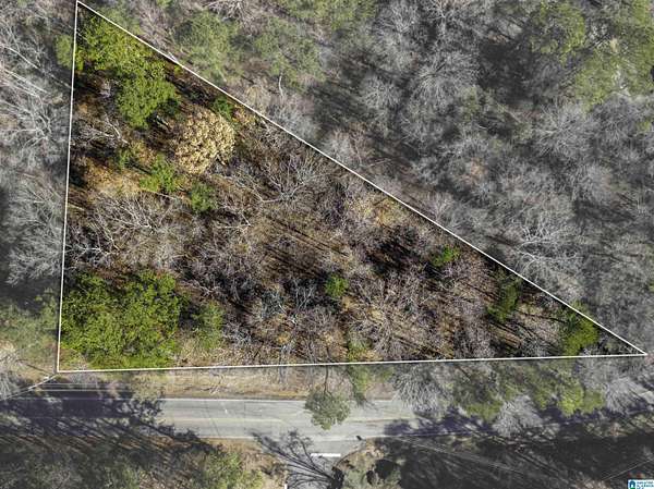 0.73 Acres of Land for Sale in Birmingham, Alabama