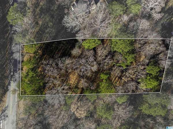 0.52 Acres of Land for Sale in Birmingham, Alabama