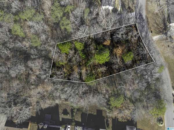 0.62 Acres of Land for Sale in Birmingham, Alabama