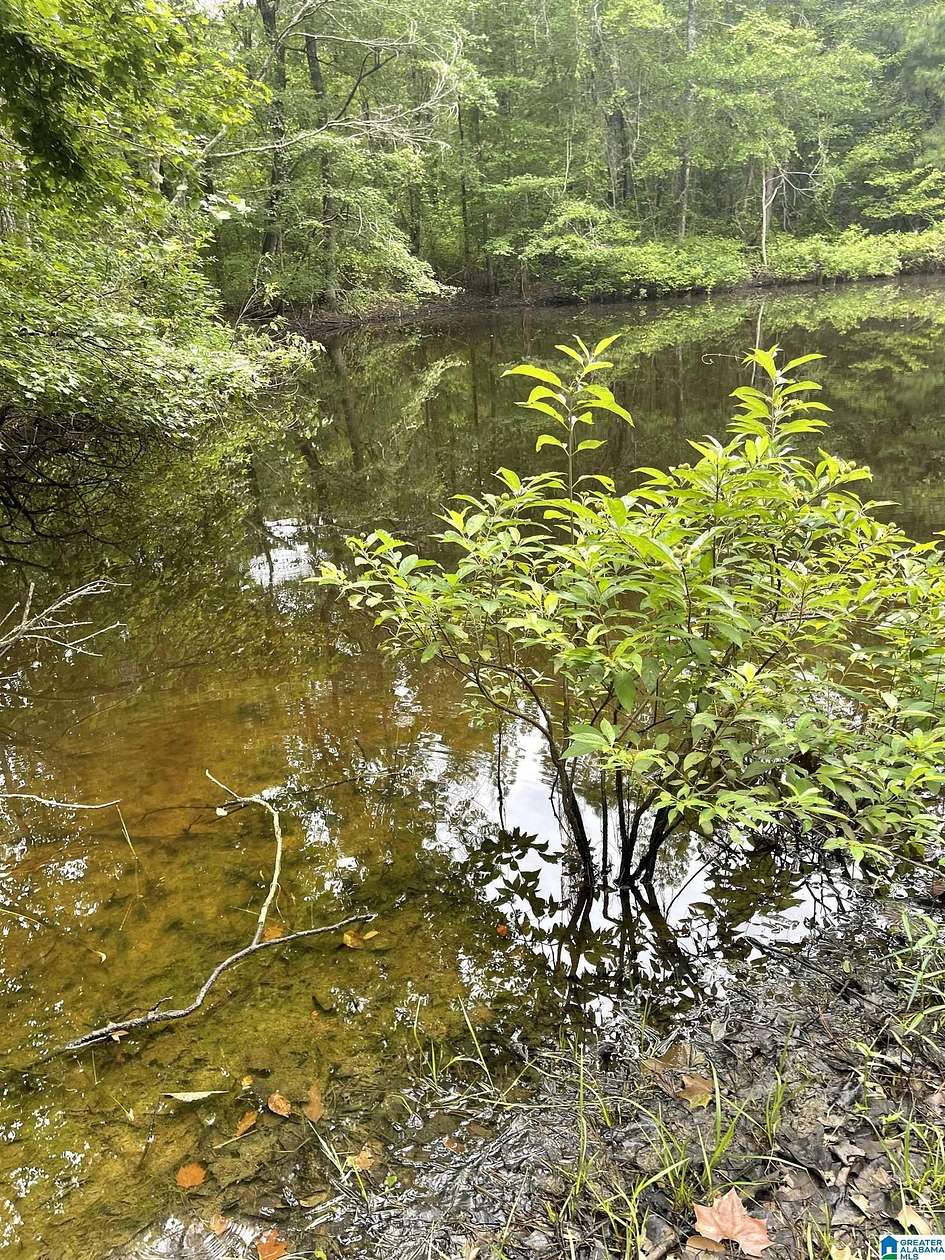 9.4 Acres of Residential Land for Sale in Sterrett, Alabama