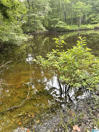 9.4 Acres of Residential Land for Sale in Sterrett, Alabama