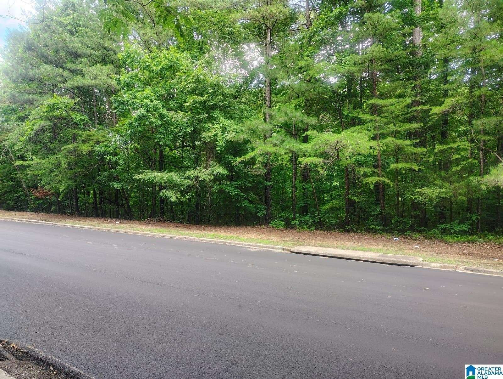 0.57 Acres of Residential Land for Sale in Birmingham, Alabama