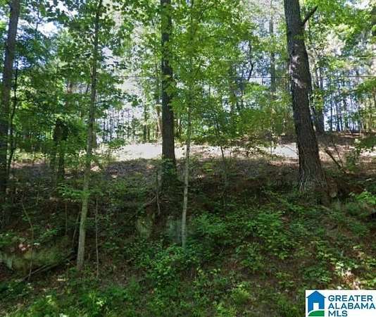 14 Acres of Land for Sale in Pinson, Alabama