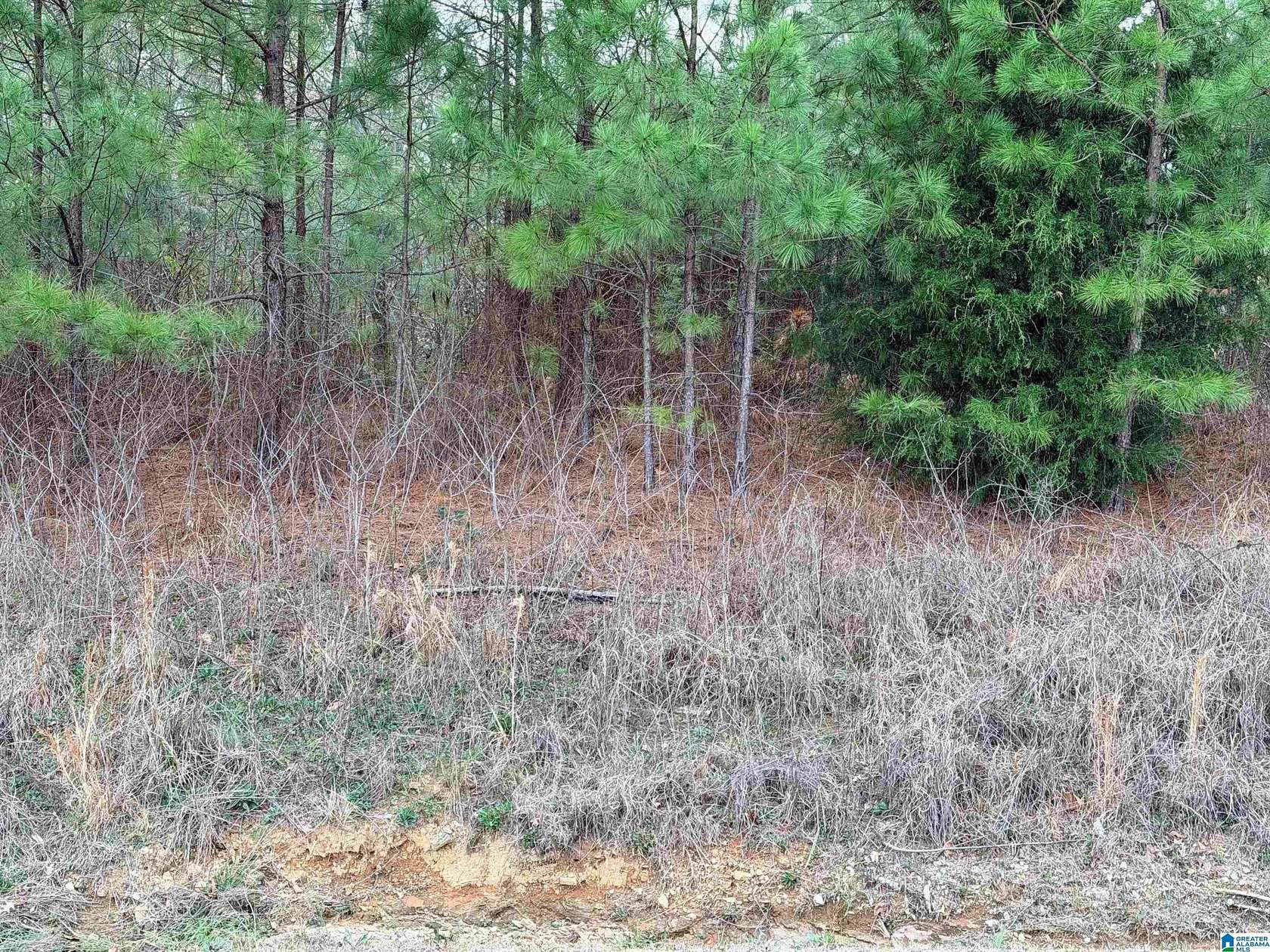1.18 Acres of Commercial Land for Sale in Hoover, Alabama
