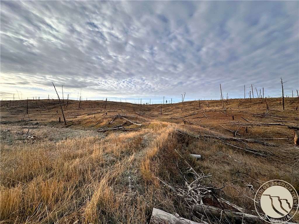20 Acres of Recreational & Residential Land for Sale in Roundup, Montana