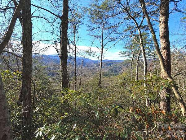 1.5 Acres of Land for Sale in Canton, North Carolina