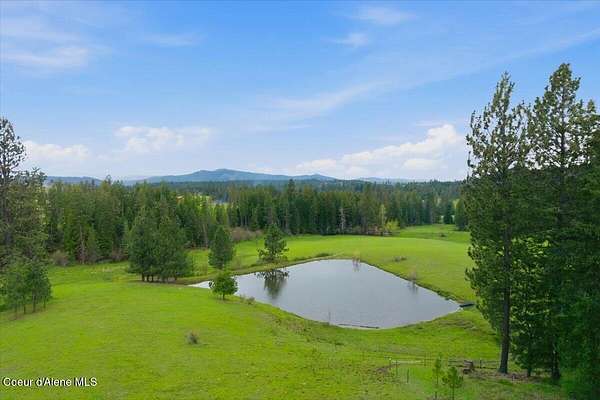 40 Acres of Land with Home for Sale in St. Maries, Idaho