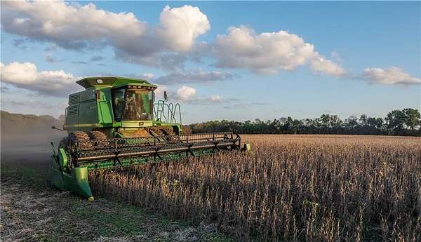 369 Acres of Land for Sale in Hume, Missouri