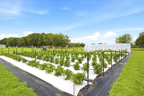7.7 Acres of Land with Home for Sale in Emory, Texas