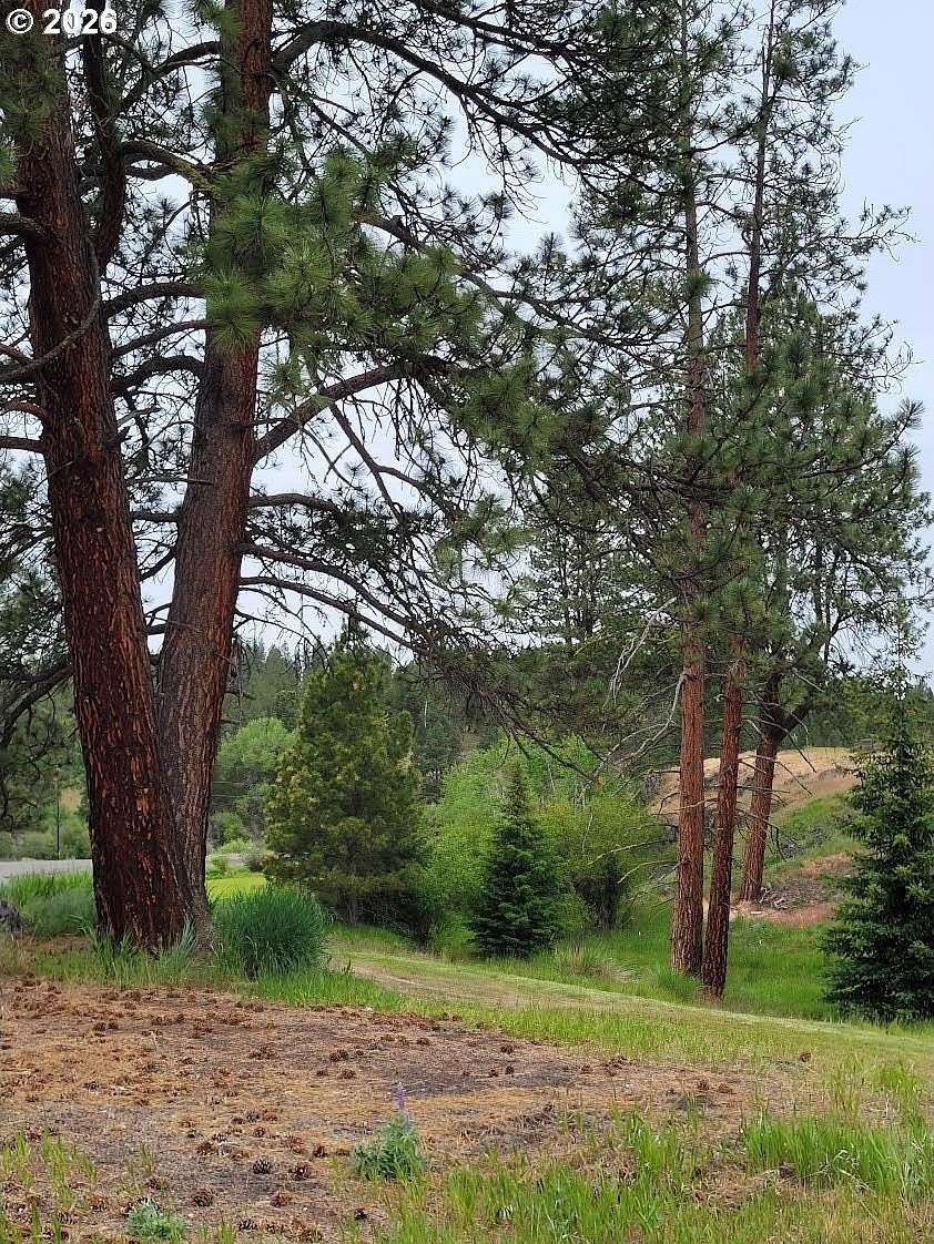 2.52 Acres of Residential Land for Sale in Starkey, Oregon
