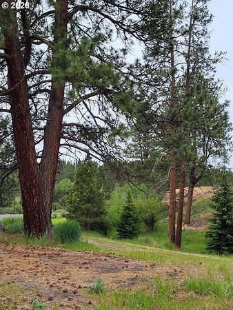 2.52 Acres of Residential Land for Sale in Starkey, Oregon