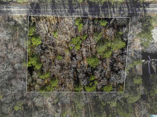 1.5 Acres of Land for Sale in Birmingham, Alabama