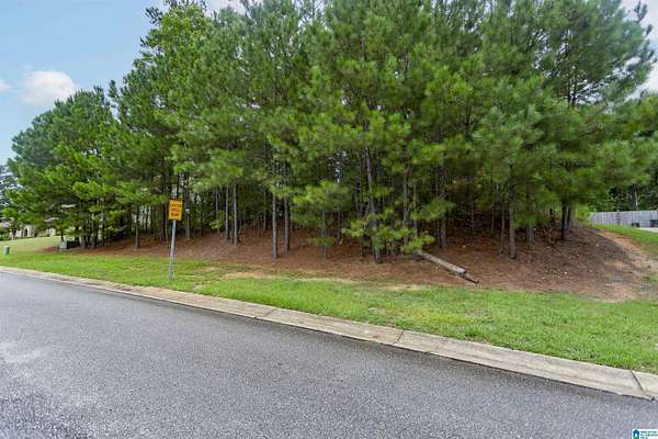 0.47 Acres of Residential Land for Sale in Chelsea, Alabama