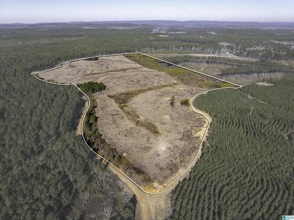 48 Acres of Land for Sale in Columbiana, Alabama