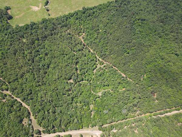 35.3 Acres of Recreational & Residential Land for Sale in Ben Wheeler, Texas