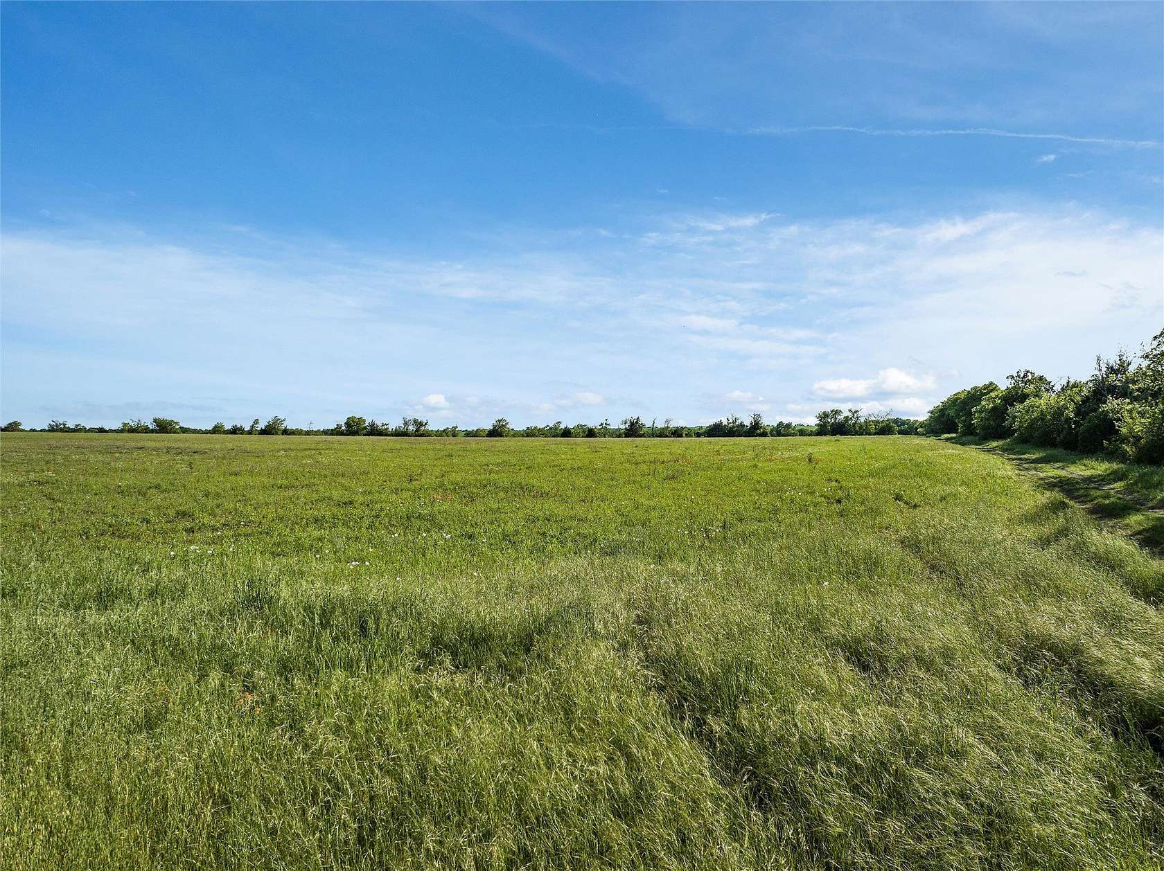 31 Acres of Agricultural & Residential Land for Sale in Waco, Texas