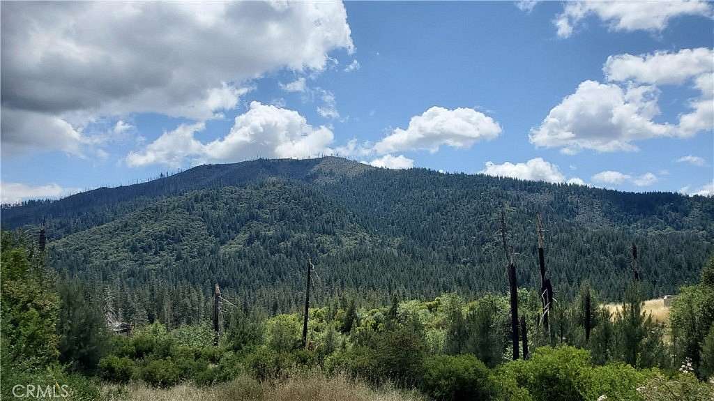 0.29 Acres of Residential Land for Sale in Cobb, California