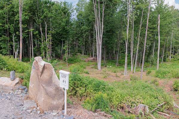 2.25 Acres of Residential Land for Sale in Craftsbury, Vermont