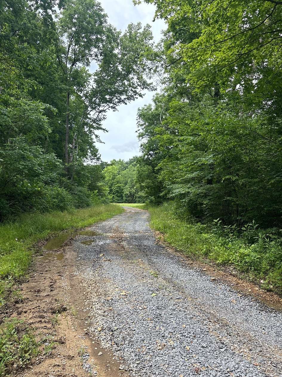 374 Acres of Recreational Land for Sale in Campbellsville, Kentucky