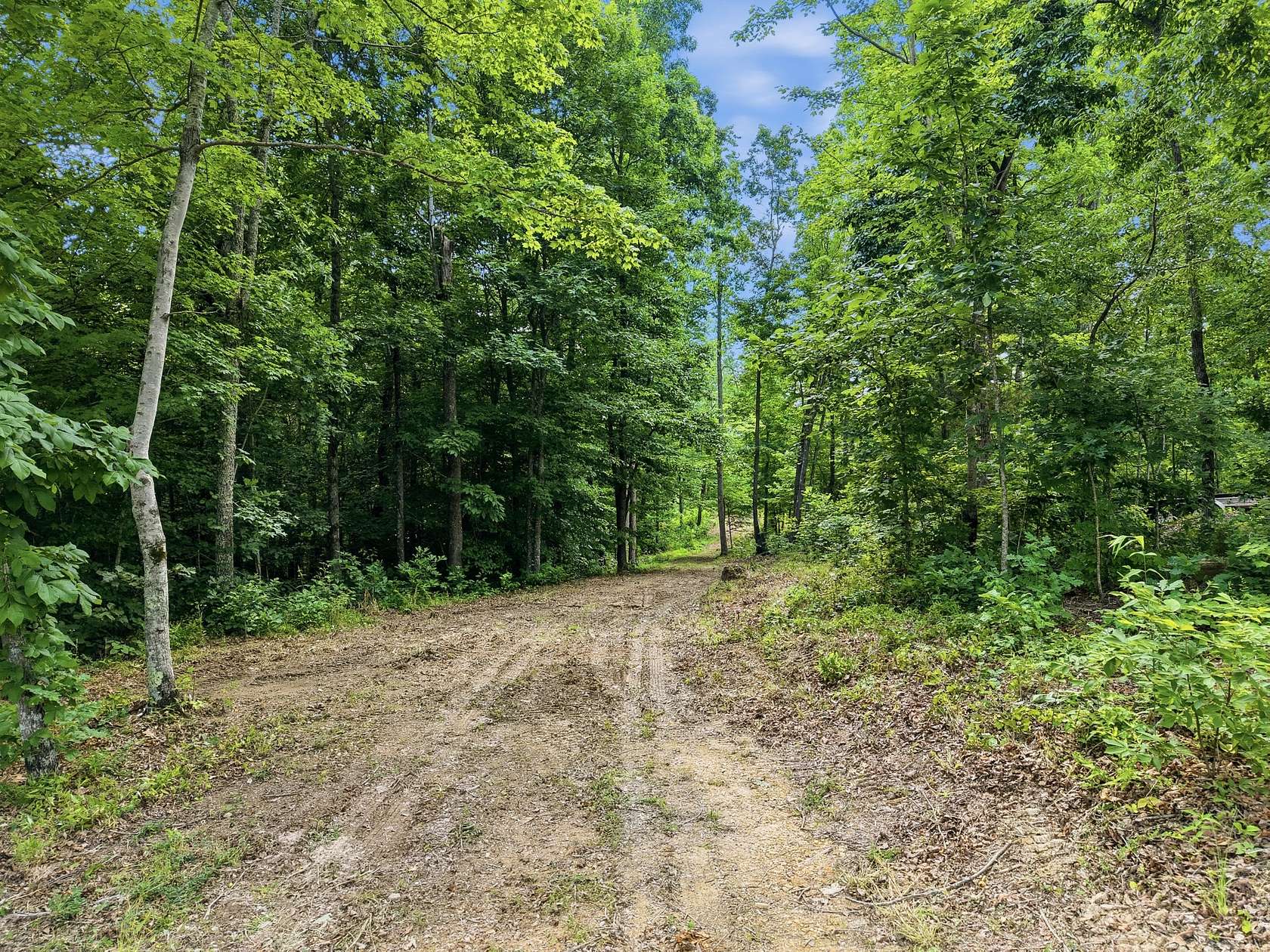 28.8 Acres of Land for Sale in Sparta, Tennessee