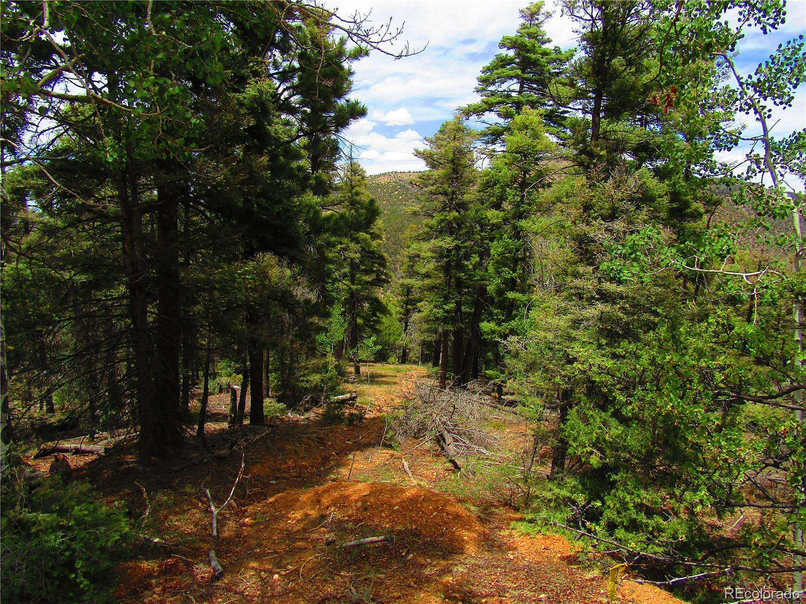 8.89 Acres of Residential Land for Sale in San Luis, Colorado