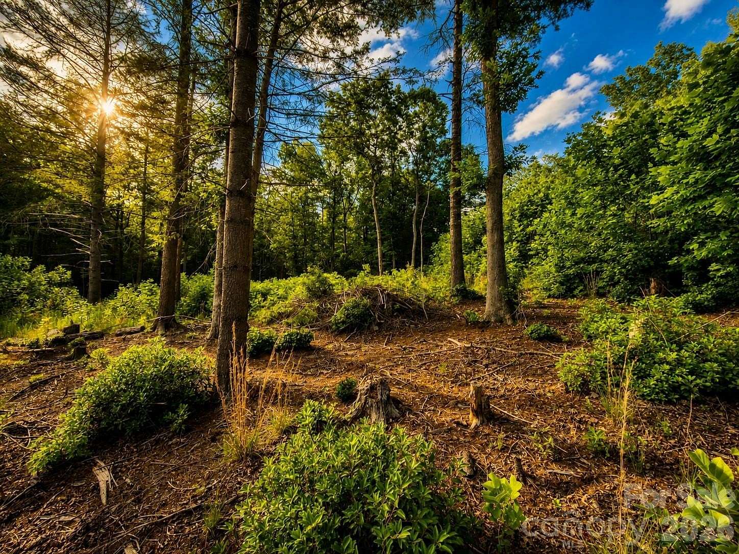 0.75 Acres of Residential Land for Sale in Marion, North Carolina