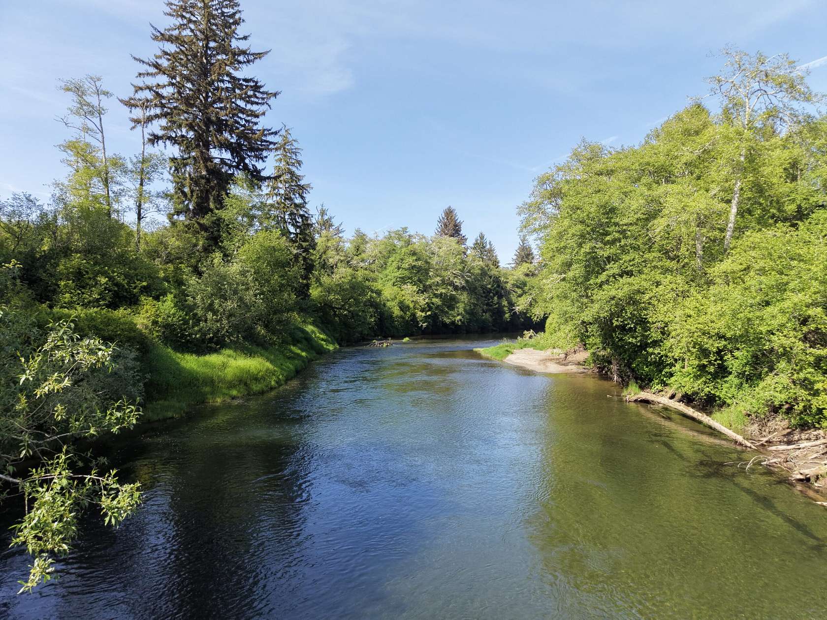 66 Acres of Recreational Land for Sale in Hoquiam, Washington