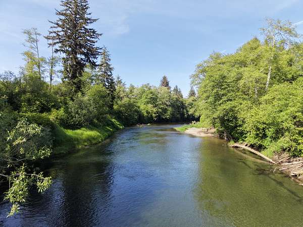 66 Acres of Recreational Land for Sale in Hoquiam, Washington