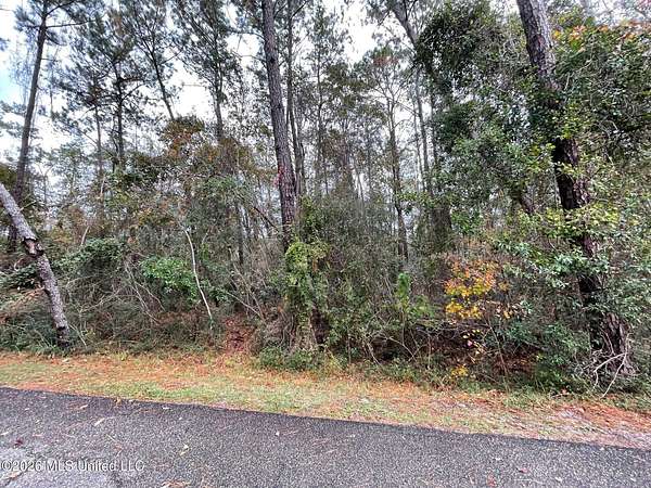 0.25 Acres of Residential Land for Sale in Diamondhead, Mississippi