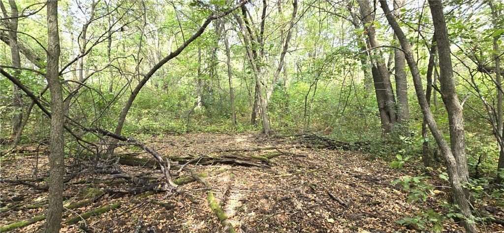 65 Acres of Recreational Land for Sale in Mahnomen, Minnesota