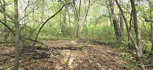 65 Acres of Recreational Land for Sale in Mahnomen, Minnesota
